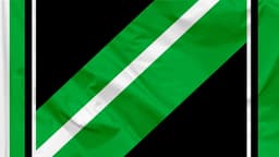 Austin FC icon