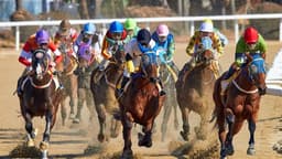 Belmont Stakes Racing Festival icon