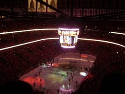 Chicago Blackhawks icon