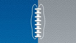 Detroit Lions icon