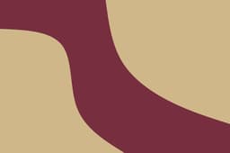 Florida State Seminoles icon