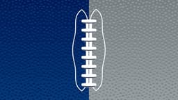 Indianapolis Colts icon