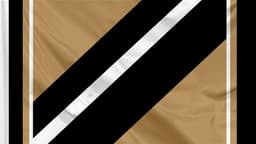 Los Angeles FC icon