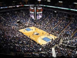 Minnesota Timberwolves icon