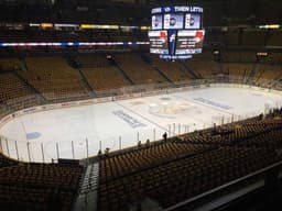 Nashville Predators icon