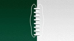 New York Jets icon