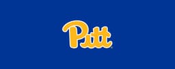 Pittsburgh Panthers icon
