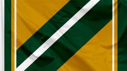 Portland Timbers icon