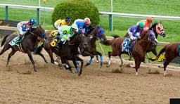 Preakness Stakes icon