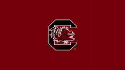 South Carolina Gamecocks icon