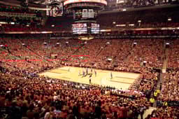 Toronto Raptors icon