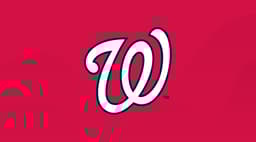 Washington Nationals icon