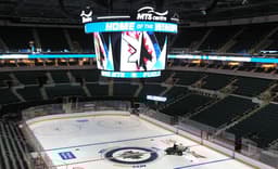 Winnipeg Jets icon